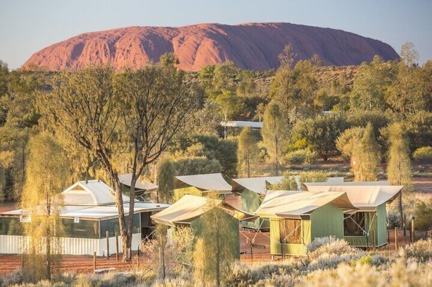 Uluru Kata Tjuta 1 Day 1 Night Outback Experience from Ayers Rock