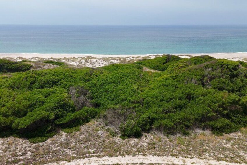 Private Jeep Tour