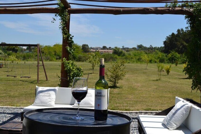 Visit two Montevideo Wineries in one day