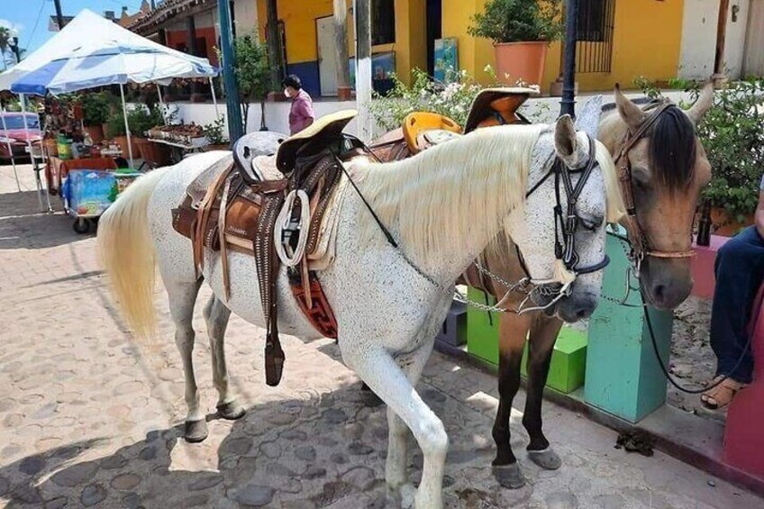 Private Tour of Mazatlán Towns La Noria and Quelite