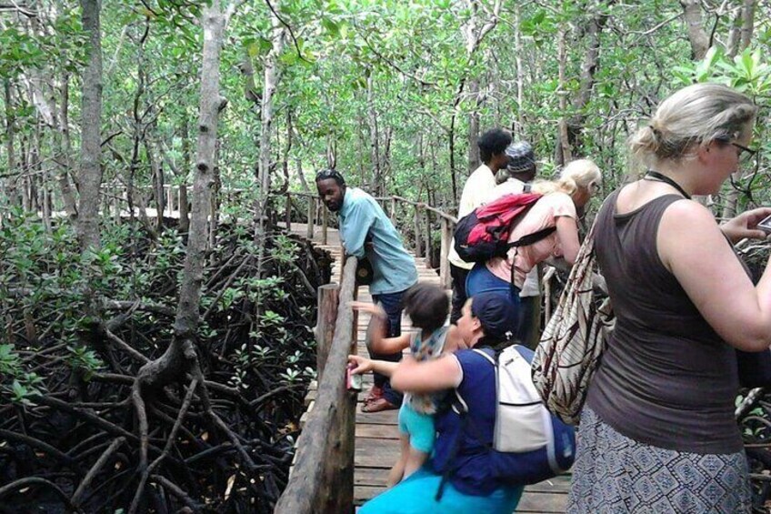 Dolphin Adventure & Jozani Forest Snorkeling Experience- Zanzibar
