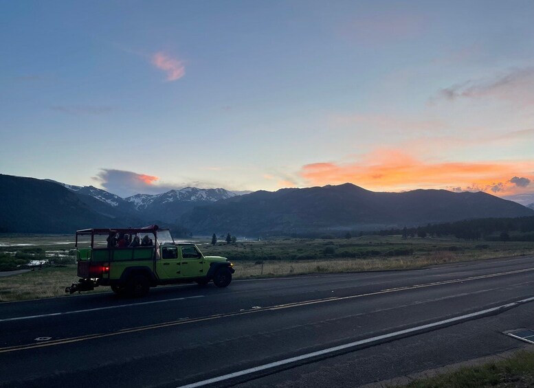 Picture 4 for Activity Estes Park: Guided Sunset Elk Mating Ritual Tour