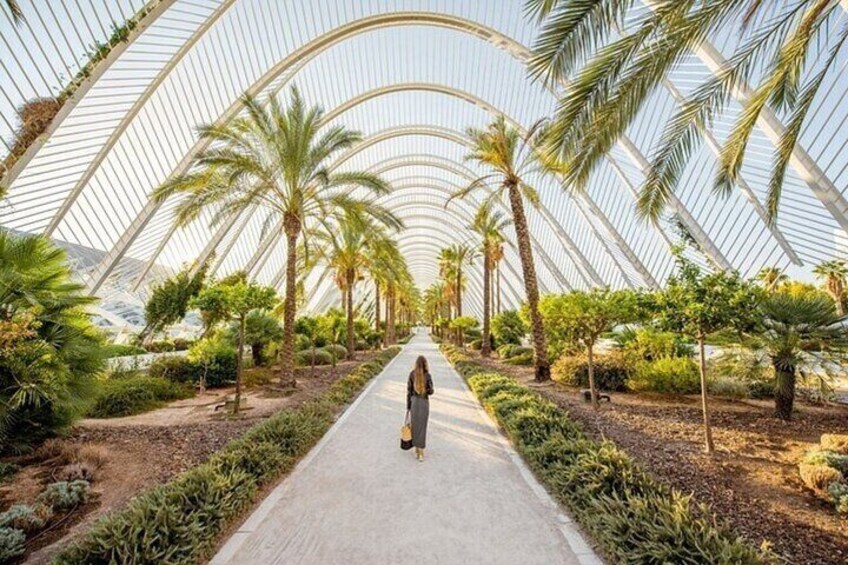 Valencia Must-See Attractions Walking Tour