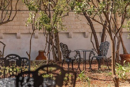 Wine tasting in Ostuni