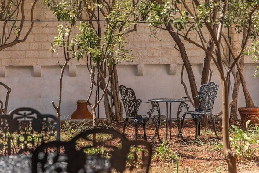 Wine tasting in Ostuni