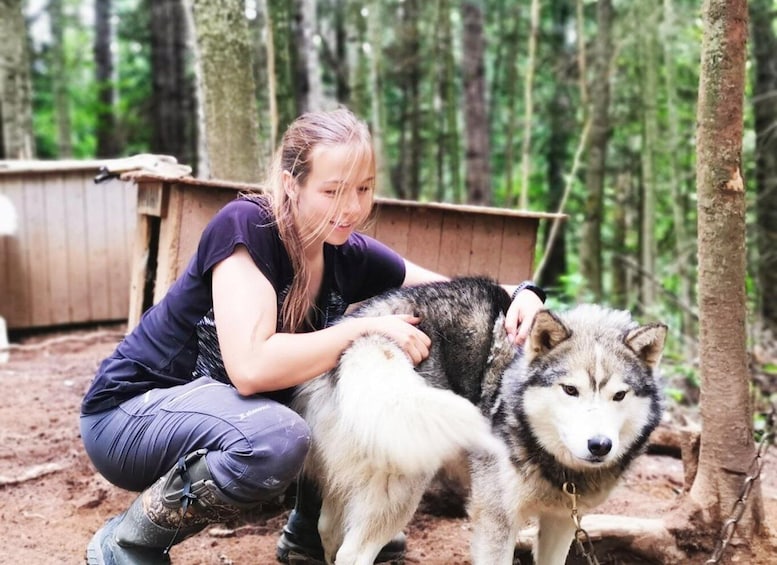 Picture 2 for Activity Saguenay: Behind-the-Scenes Sled Dog Kennel Tour