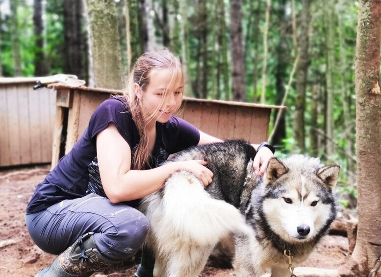 Picture 1 for Activity Saguenay: Behind-the-Scenes Sled Dog Kennel Tour