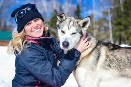 Saguenay: Behind-the-Scenes Sleigh Dog Kennel Tour