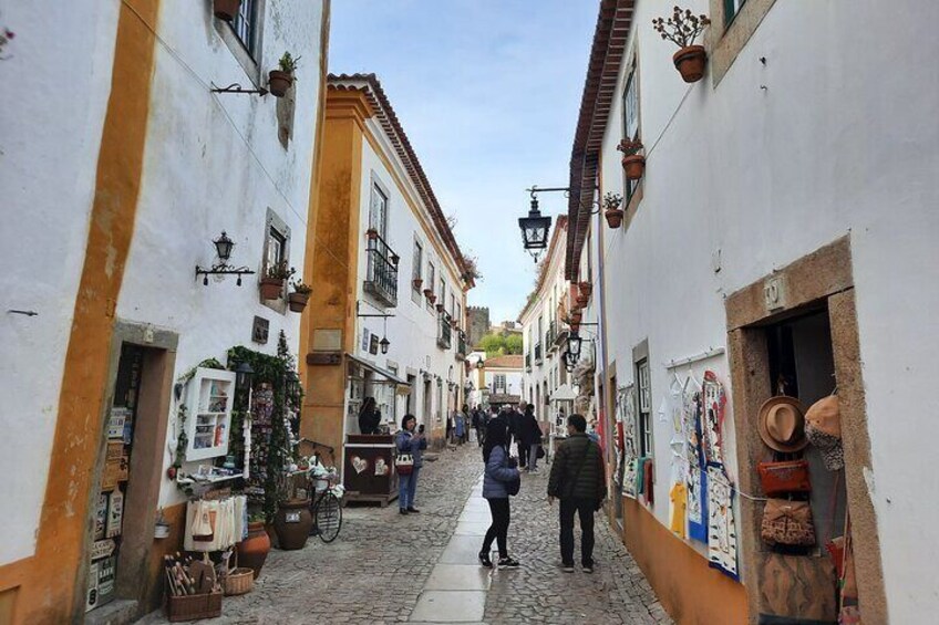 Small Group Tour to Nazaré and Obidos from Lisbon
