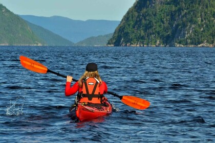 Saguenay Fjord: Sea Kayaking Adventure with Guide