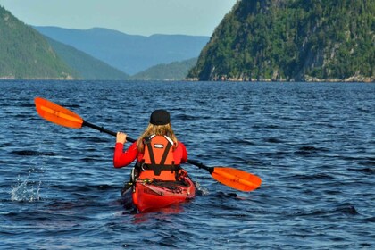 Saguenay Fjord: Sea Kayaking Adventure with Guide