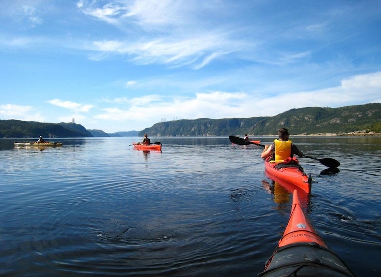 Picture 4 for Activity Saguenay Fjord: Sea Kayaking Adventure with Guide
