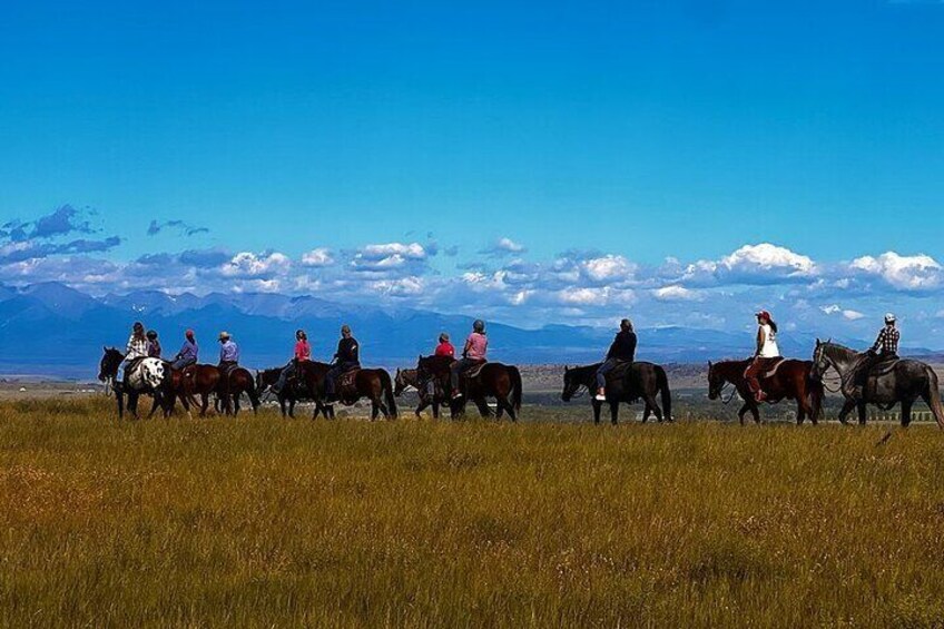 2 Hour Trail Ride in Montana Ranch Country