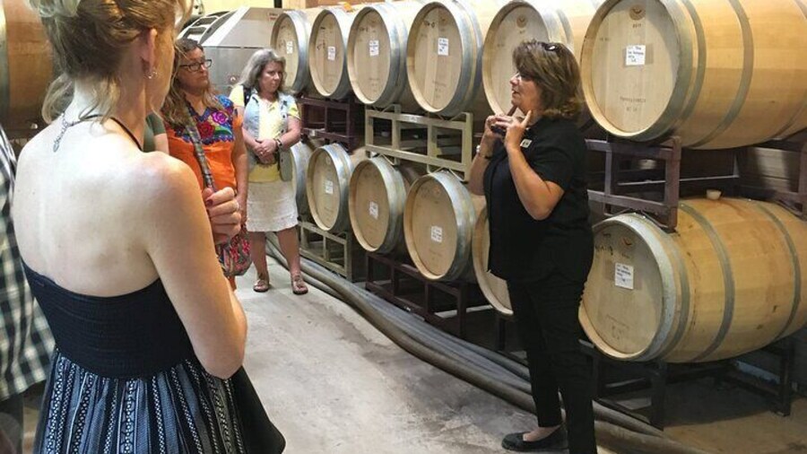 Fredericksburg Hill Country Aficionado Wine Tour from San Antonio