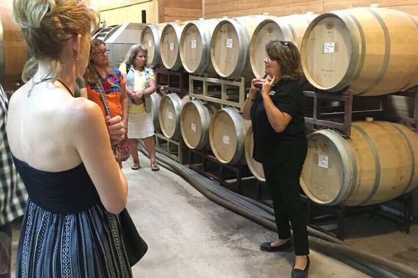 Fredericksburg Hill Country Aficionado Wine Tour from San Antonio