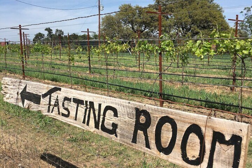 Fredericksburg Hill Country Aficionado Wine Tour from San Antonio
