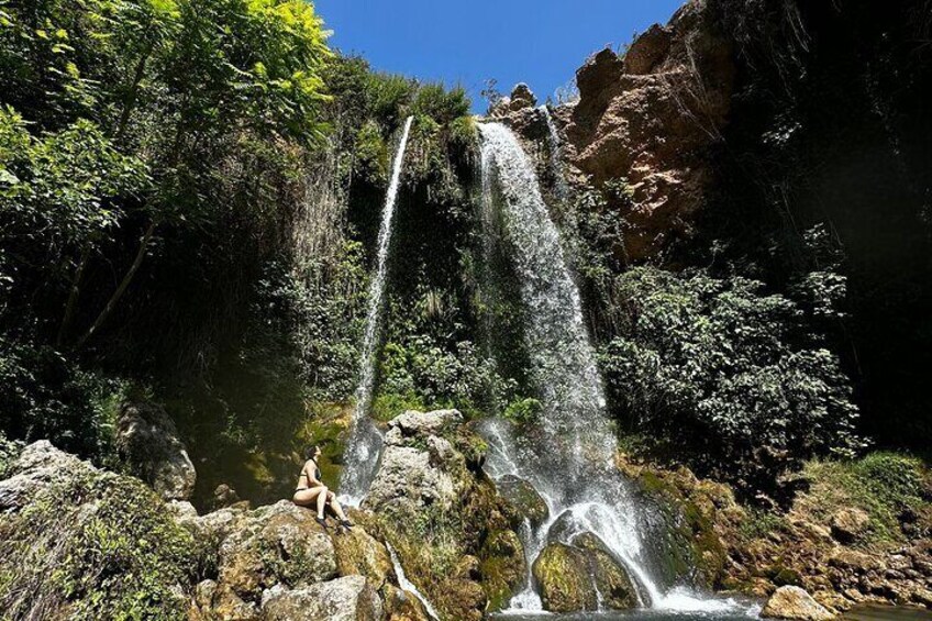 Discover Valencia's Nature with Tour Guide