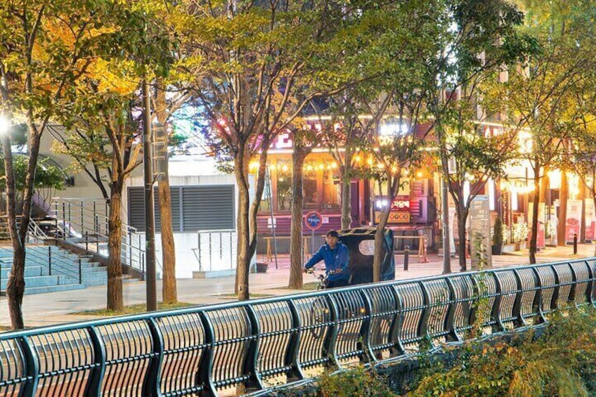 Cheonggyecheon Night Private Tour