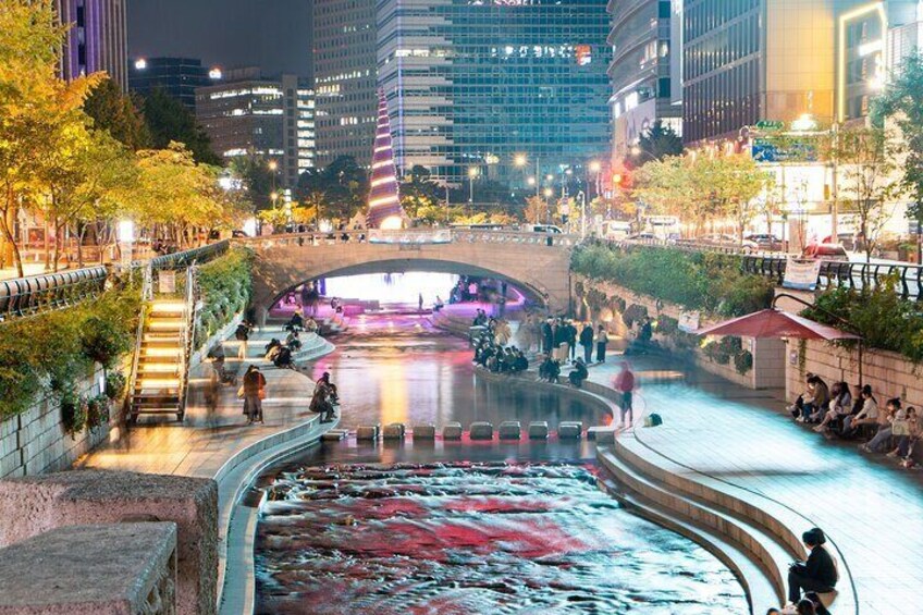 Cheonggyecheon Night Private Tour