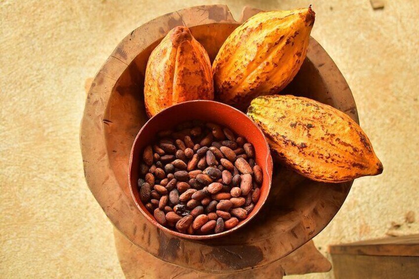 Chocolate Tour and Crocodile Safari. Puntarenas shore excursion