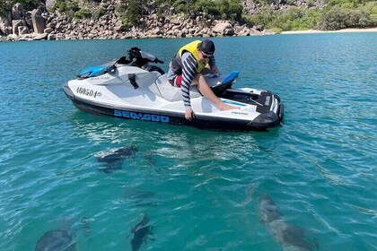 Snorkelling Jet Ski Tour to Magnetic Island