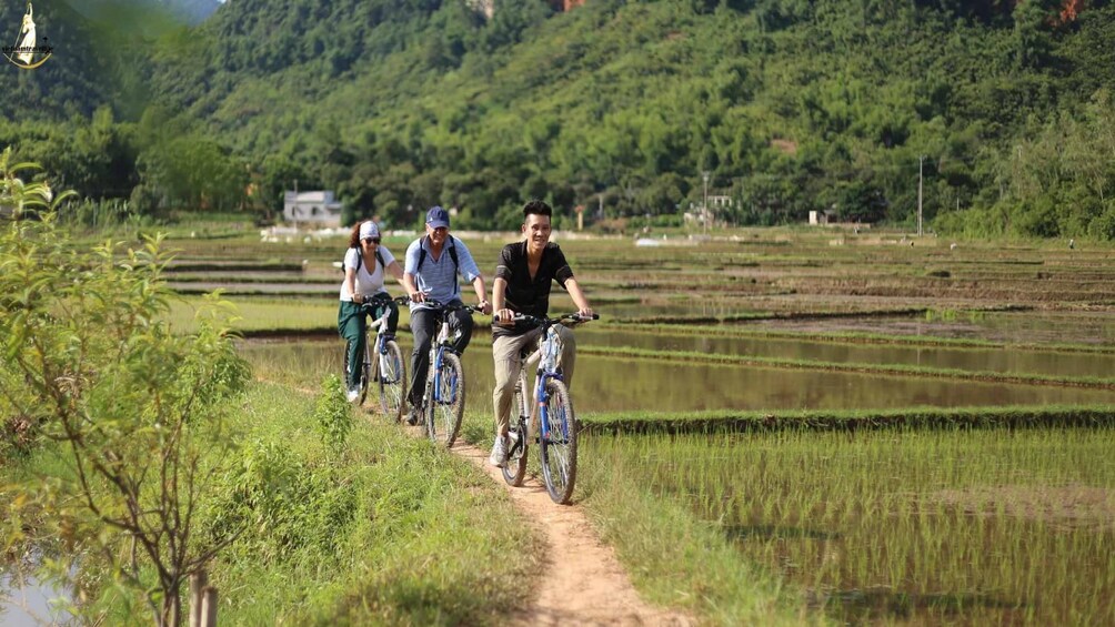 Hoa Lu - Tam Coc full day from Hanoi