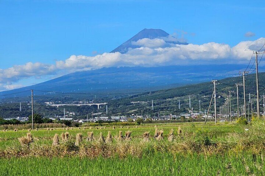 Mount Fuji Scenic E-Bike Tour