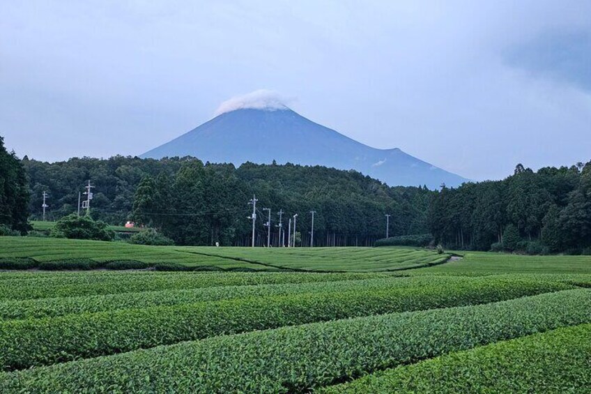 Mount Fuji Scenic E-Bike Tour