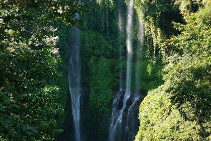 North Bali Sekumpul Waterfall, Banyu Wana Waterfall & Temple Tour