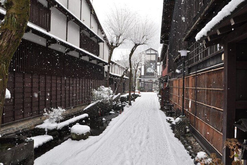 Gujo, Hida Takayama, and Shirakawa-go Day Tour from Nagoya