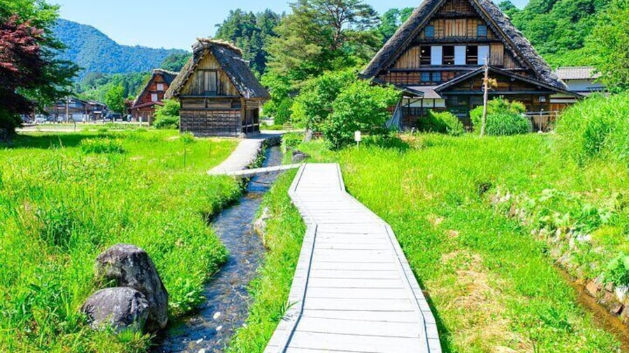 Shirakawa-go in Summer