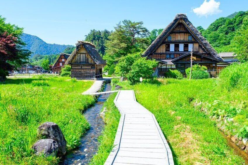 Shirakawa-go in Summer