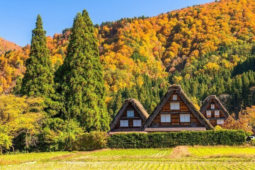 Shirakawa-go in Autumn