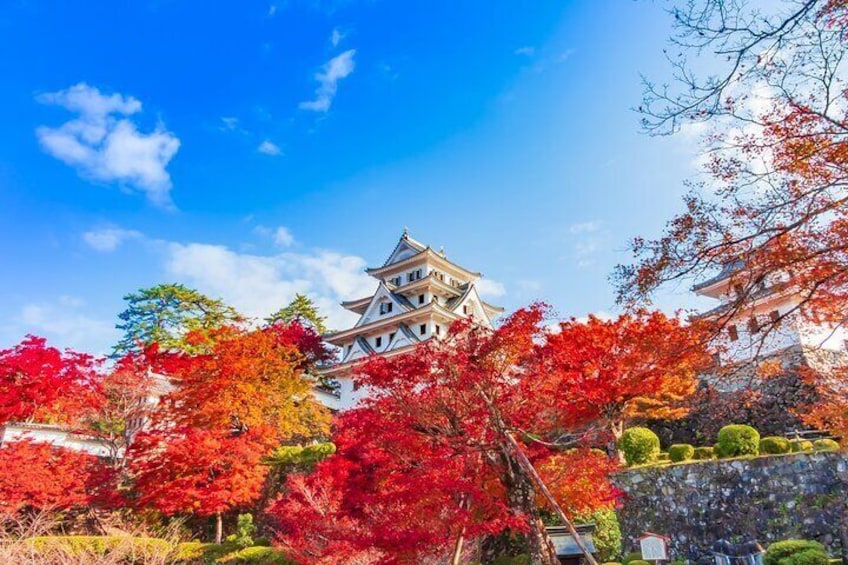 Gujo Hachiman in Autumn