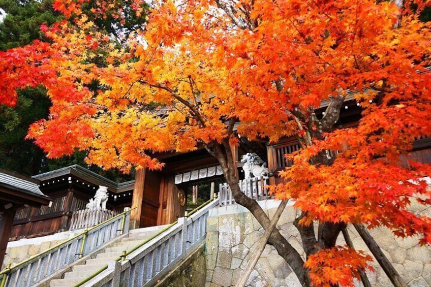 Hida Takayama in Autumn