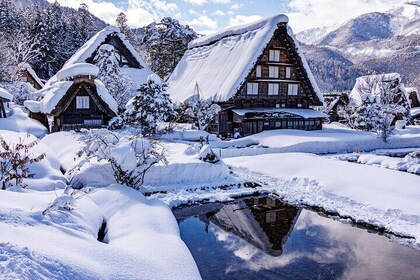 Gujo, Hida Takayama, and Shirakawa-go Day Tour from Nagoya