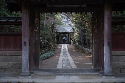 【Kamakura Zen – Private 5-Hour Walking】 Guided Tour with Lunch