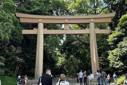 Private Tour in Meiji Shrine with Service and Tea Ceremony