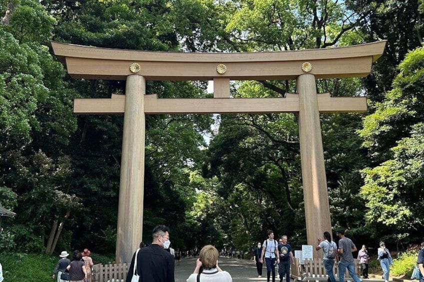 Private Tour in Meiji Shrine with Service and Tea Ceremony