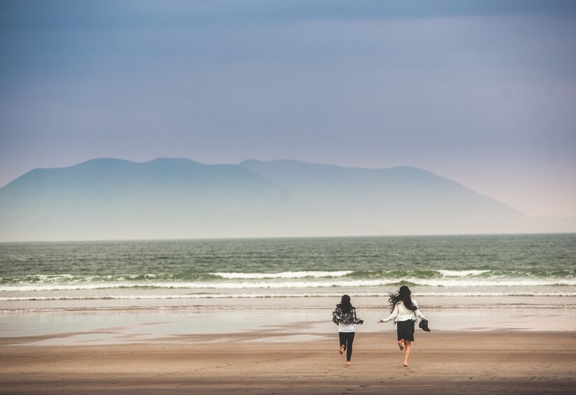 The Wild Coast of Dingle Peninsula & Slea Head from Killarney