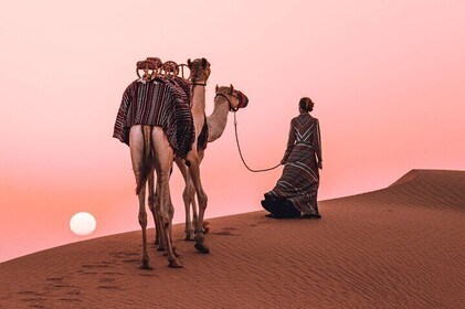 6 Hour Red Dune Safari in Dubai