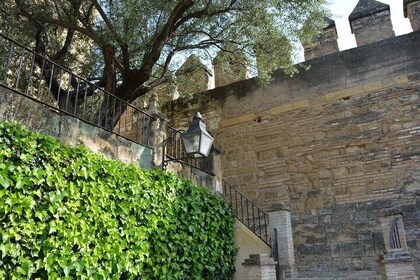 Córdoba Monumental Intensive Tour en Español Entradas incluidas