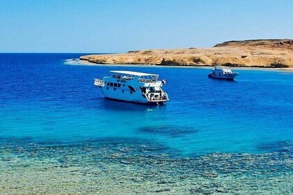 Ras Mohamed & White Island: Snorkel & Dive - Sharm El Sheikh