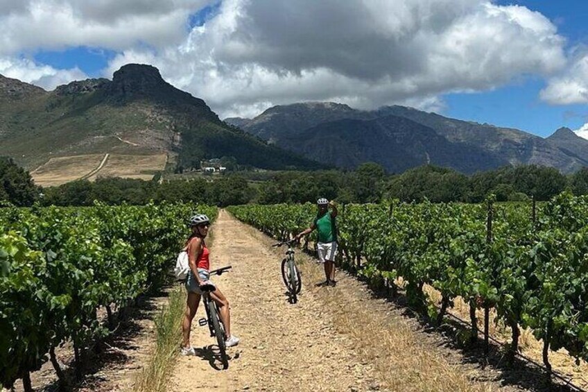 Half Day E Bike Cycling Wine Tour