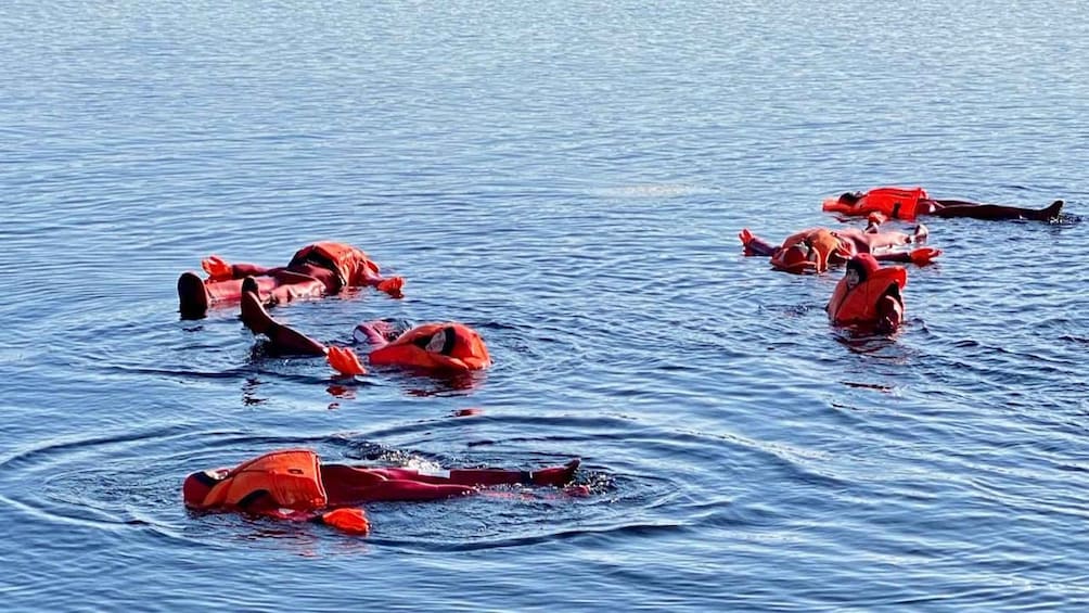 Picture 3 for Activity Puumala: Private Ice-Floating Experience at Lake Saimaa