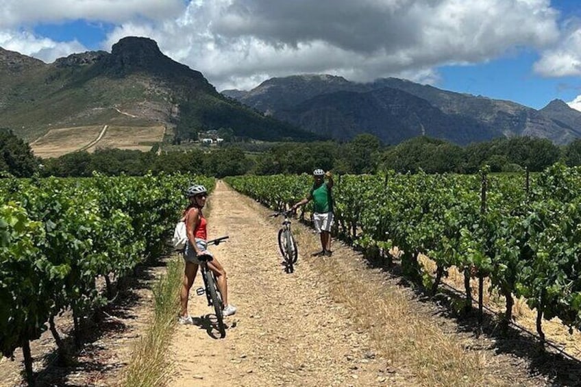 Half Day Cycling Wine Tour