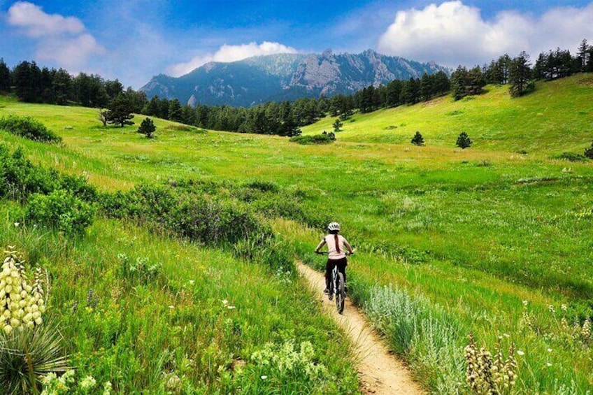 Private Electric Mountain Bike Ride in Annecy