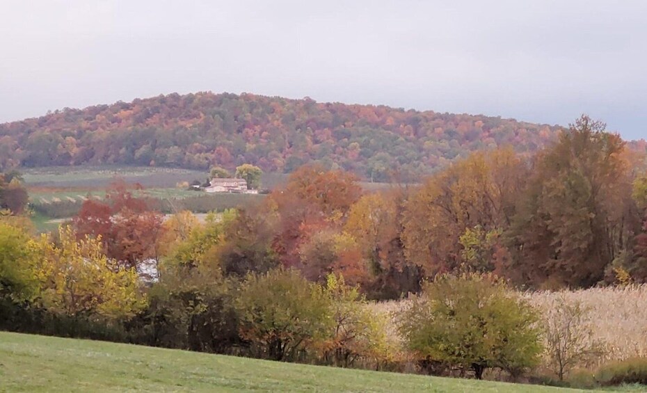Picture 9 for Activity Gettysburg: Horse-Drawn Carriage Tour Countryside & Orchards