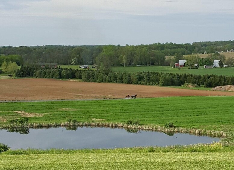 Picture 7 for Activity Gettysburg: Horse-Drawn Carriage Tour Countryside & Orchards