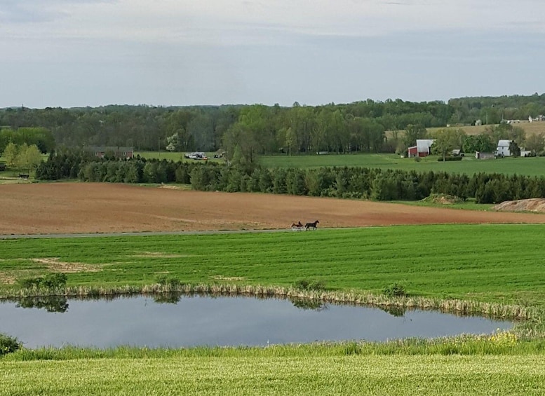 Picture 7 for Activity Gettysburg: Horse-Drawn Carriage Tour Countryside & Orchards